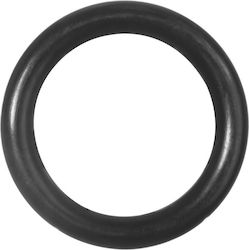 Paterlini O ring 0478009 1pcs