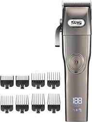 DSP 613088