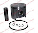 Complete Chainsaw Piston Husqvarna 45 Aip