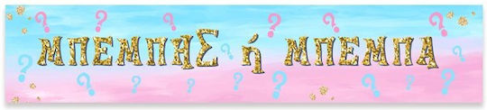 Banner Message Gender Reveal 1.30m P25914 Bal-p25914-gender-reveal