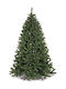 Christmas Tree Colorado Deluxe 240cm