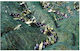 Olive Net 7x12m Density 85gr/m²