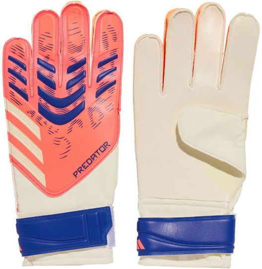 adidas Predator Pro Torwarthandschuhe Erwachsene Weiß