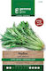 Wild White Leaf Chicory Gemma