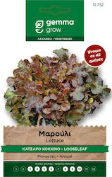 Маруля Къдрава Червена Lettuce Gemma