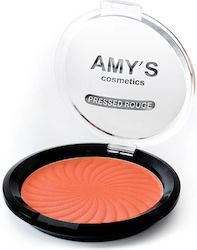 Amy's Cosmetics Ρουζ Compact No.10