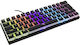 White Shark Ashiko 2 Gaming Μηχανικό Πληκτρολόγιο 60% με Outemu Blue διακόπτες και RGB φωτισμό (Αγγλικό US)