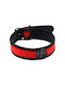 Neoprene Puppy Collar Adjustable Red