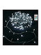 Christmas Lights Battery 3AA Music Sensor Cold White 10m/100LED Dark Green Cable IP44 Indoor & Outdoor Aigostar SDS-8433325501266 SSS