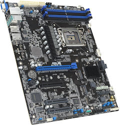 Asus P13R-E C266 Asus P13R-E C266