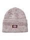 Lewistown Beanie Masculin Căciulă Tricotat în culoarea Violet