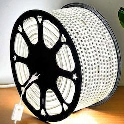 Christmas Light Tube Cold White 220V 48 Light B...