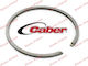 Segment pentru drujbe 52mm x 1.5mm Caber
