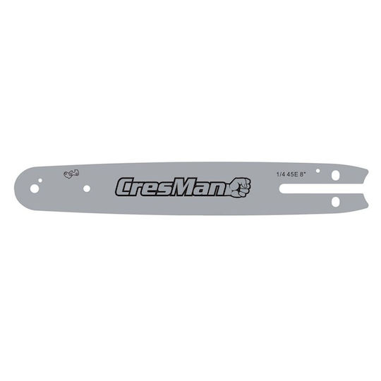 Piesă De Schimb Protech-778-888 Lamă De Drujbă 13176
