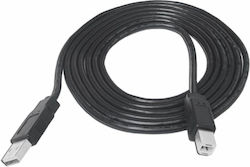 3M U/UTP Καλώδιο Ethernet 3m Μαύρο 3M U/UTP Καλώδιο Ethernet 3m Μαύρο