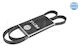 Alternator Belt 5pk1546 Poly-v A.romeo 159 05-12/Fiat Croma 05-11 Stilo 01-10/Opel Astra 98-14 Corsa 06-14 Meriva 03-10 Zafira 0500051546-10761