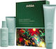 Aveda Scalp Serenity Scalp Solutions Balancing Essentials Gift Set Hair Treatment Set With Shampoo & Conditioner 3 Pieces