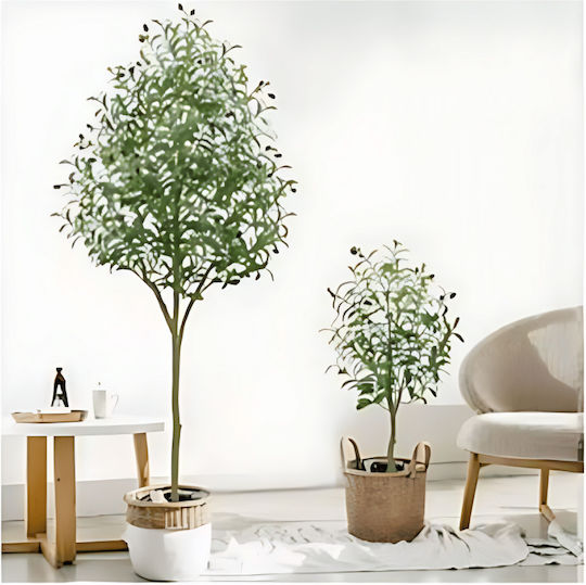 Artificial Decorative Olive Tree 1.6m Pot Artificial Decorative Olive Tree 1.6m Pot