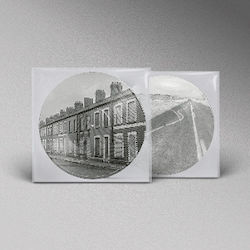 Manic Street Preachers Critical Thinking Lp Picture Vinyl
