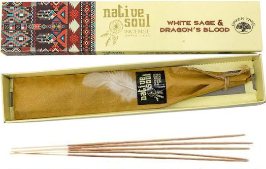 Home Fragrance Sticks Native Soul Scent White Sage Dragon's Blood 15g