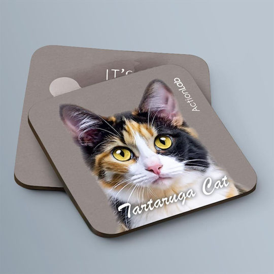 Σουβερ Tartaruga Cat Σουβερ Tartaruga Cat