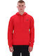 Small Logo Sweatshirt Vector Red