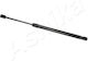 Trunk Shock FCA Punto 188 1.2 07 ZSA02031 Ashika