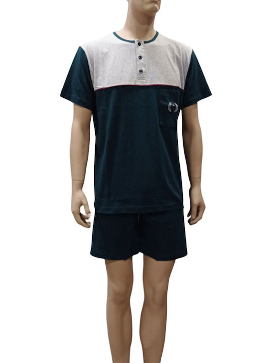 Lion Grey-green