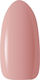 Claresa Easy Nail Gel 5 5gr