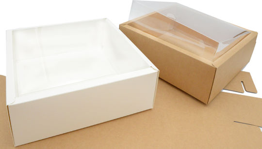 Paper Box With Lid Plastic 30cm X 30cm X 7.4cm 0402233 12 Pieces