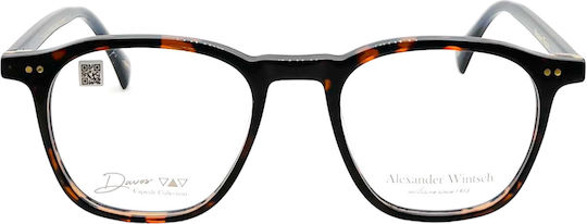 Alexander Wintsch Brown Tortoise Super G 5001
