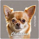 Action Lab Chihuahua Moca Refrigerator Magnet