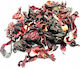 Agrest Hibiscus 50gr ART648311