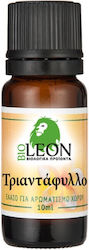 Τριαντάφυλλο Αρωματικό Bioleon 10ml
