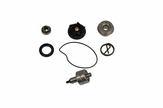 Parts Europe Set Reparatur Für Motorrad-Wasserpumpen 014-0017 Piaggio Beverly 250 I.e 07-09 Piaggio X8 250 I.e 06-07