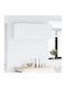 Alb 50x31x40buc