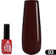 Global Fashion Base Coat / Top Coat για Απλά Βερνίκια Rubber 8ml