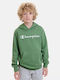 Kids Sweatshirt with Hood Green