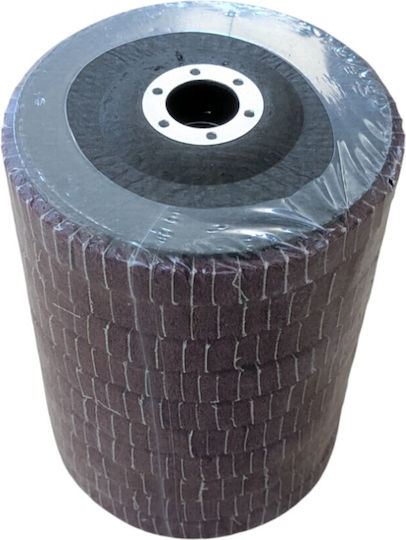 Set 10 Abrasive Discs 100 Mm Cobi Smart