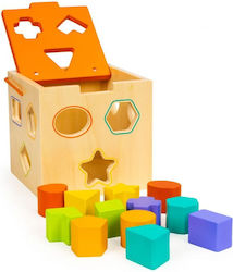 Smartic Sortare Forme pentru 18++ Luni