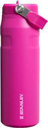 Stanley Iceflow Thermos Bottle BPA Free 700ml V...