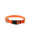 4wild Guler Pentru Câini Cu Curea Neon Portocalie 25 Mm 37-57 Cm