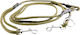 4wild.eu Dog Leash/Lead Strap 3m