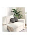 vidaXL Velvet Sofa Cushion Light Gray 30x30cm