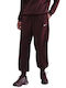 Sportswear Phoenix Παντελόνι Φόρμας Fleece Burgundy