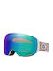 Oakley Snow Ski & Snowboard Goggles Kids Gray with Lens in Gray Color
