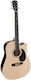 Gsd60cent Nashville Electro-acoustic Guitar Natural Dreadnought