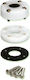Stipioothlyptis Steg 50.29mm Kal:9-14 Aber Marine 18.r.e.49476