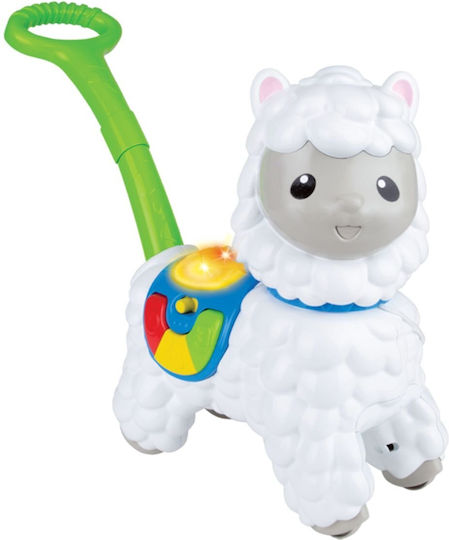 Winfun Baby Toy with Sounds for 12++ Months