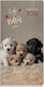 Ημερολόγιο Eβδομαδιαίο 2026 Hb Dogs & Cats 8x16...